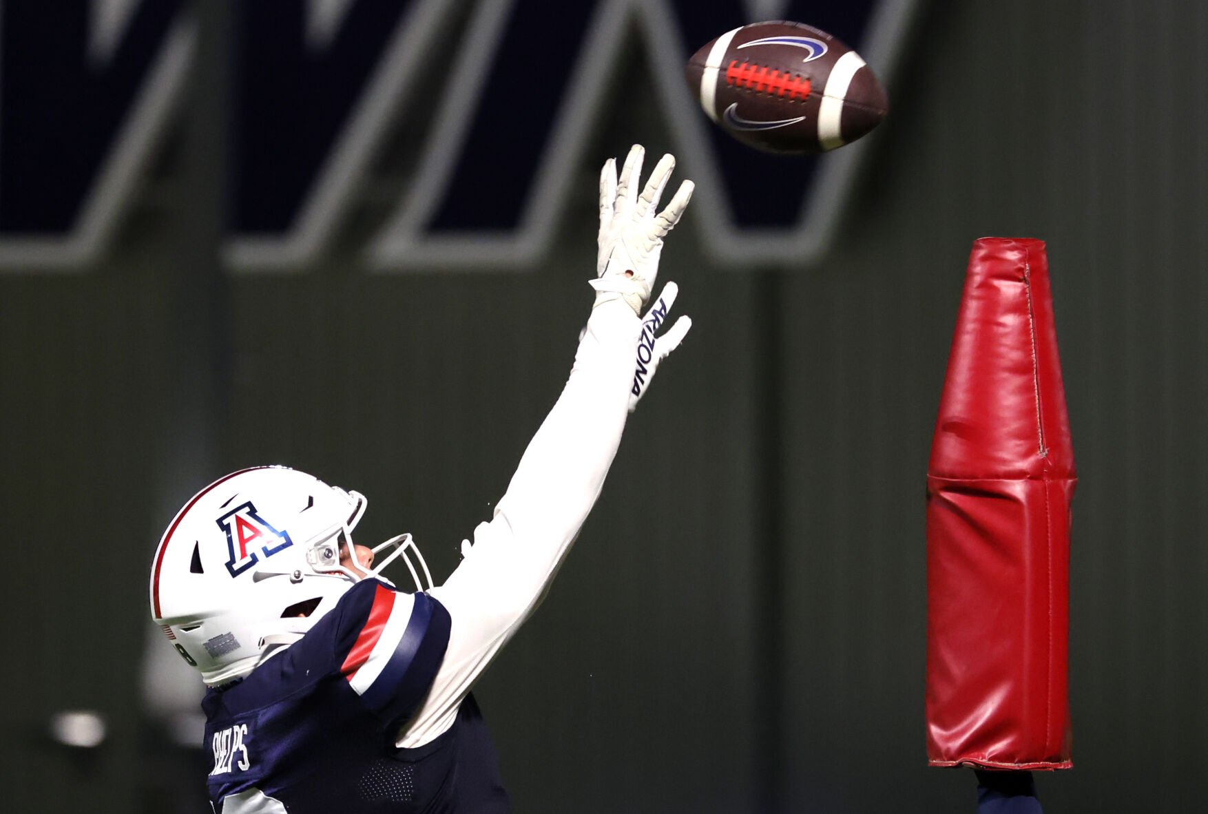 Arizona Wildcats preseason